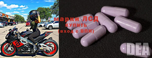 СК Волоколамск