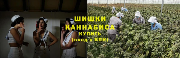 СК Волоколамск