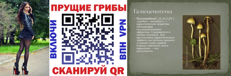 Галлюциногенные грибы мицелий  Дербент 